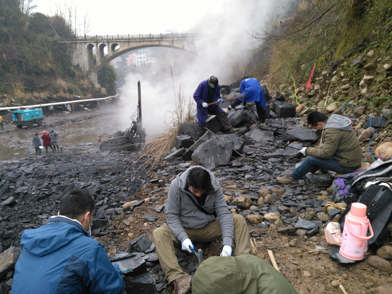 Scientists unearthing new fossils.